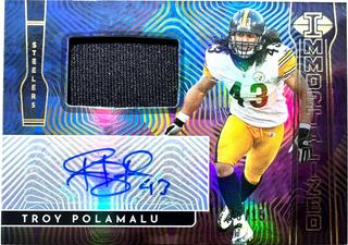 Troy Polamalu