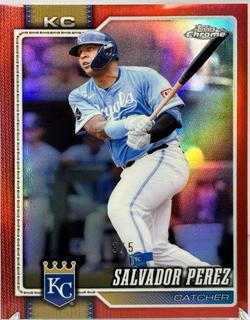 Salvador Perez