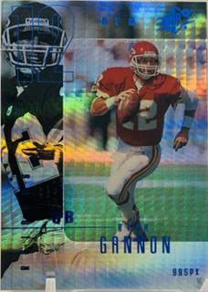 Rich Gannon