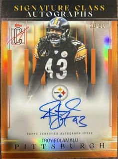 Troy Polamalu