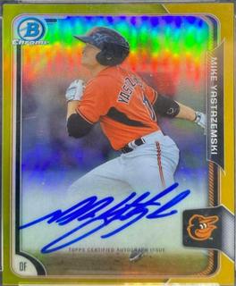 Mike Yastrzemski