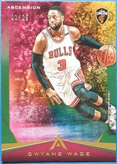 Dwyane Wade
