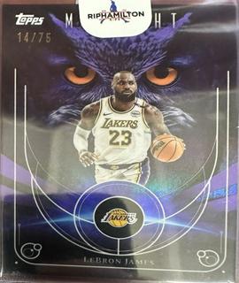 LeBron James