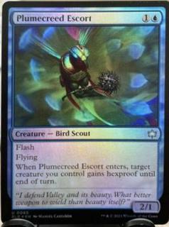 Plumecreed Escort