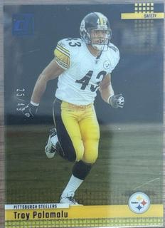 Troy Polamalu