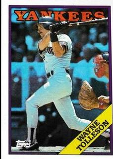 Wayne Tolleson
