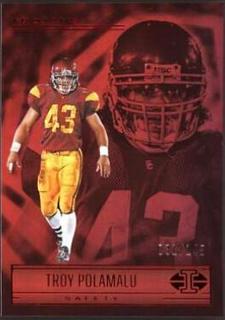 Troy Polamalu