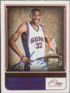 Amar'e Stoudemire
