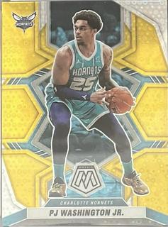 PJ Washington Jr.