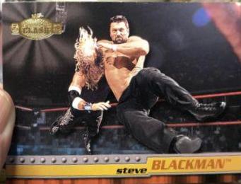 Steve Blackman #3 Wrestling Cards 2001 Fleer WWF Championship Clash