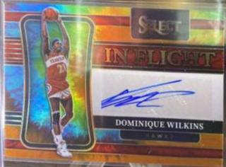 Dominique Wilkins
