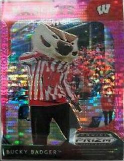 Bucky Badger