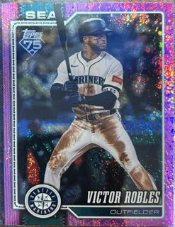 Victor Robles
