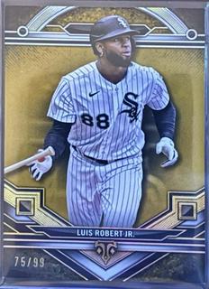 Luis Robert Jr.