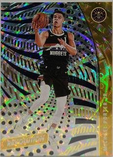 Michael Porter Jr.