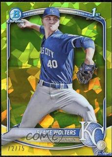 Blake Wolters