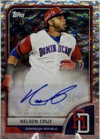 Nelson Cruz [Cracked Ice] #AV-NC