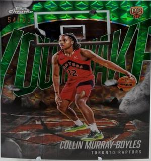 Collin Murray-Boyles