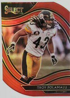 Troy Polamalu