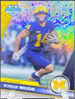 Roman Wilson