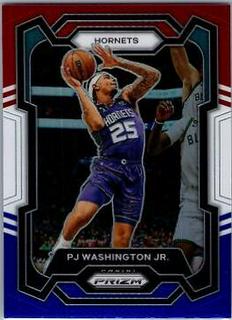 PJ Washington Jr.