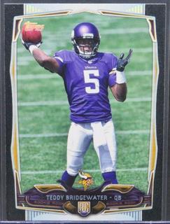 Minnesota Vikings