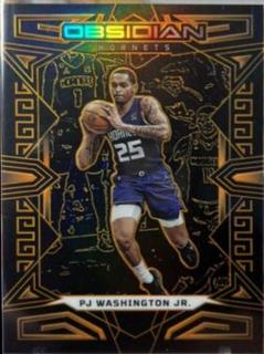 PJ Washington Jr.