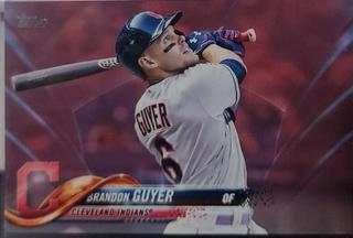 Brandon Guyer