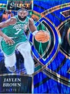 Jaylen Brown