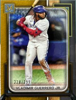 Vladimir Guerrero Jr.