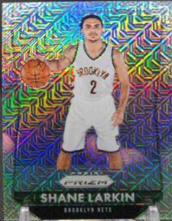Shane Larkin