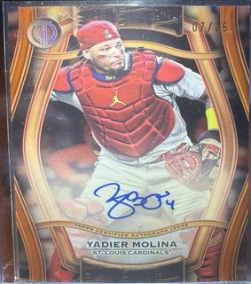 Yadier Molina