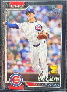 Matt Shaw