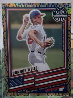 Connor Wells