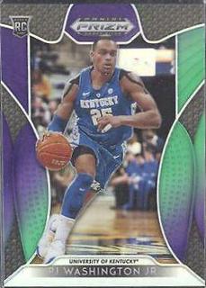 PJ Washington Jr.