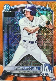 Landyn Vidourek