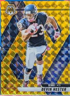 Devin Hester