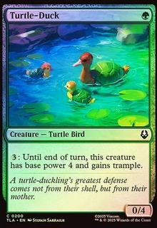 Turtle-Duck