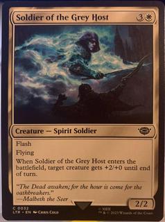 Soldier of the Grey Host