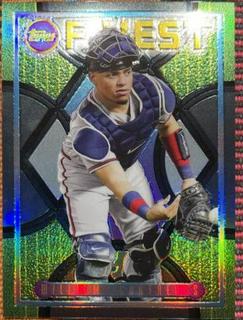 William Contreras