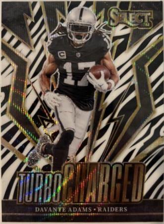 Davante Adams [Zebra Prizm] #TUR-DAD