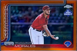 Yohandy Morales