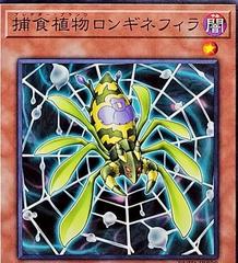 Predaplant Longinephila BLZD-JP009
