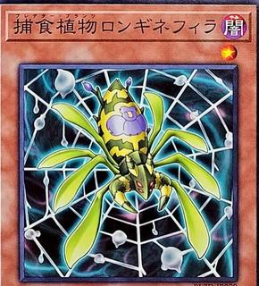 Predaplant Longinephila BLZD-JP009