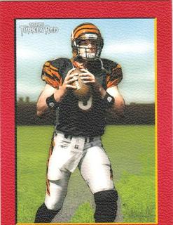 Carson Palmer