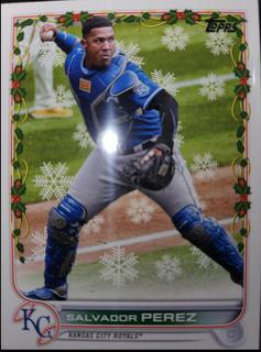 Salvador Perez