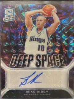 Mike Bibby