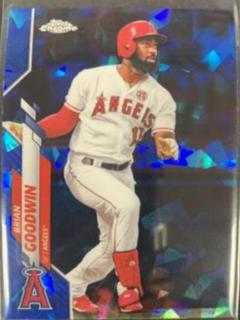 Brian Goodwin