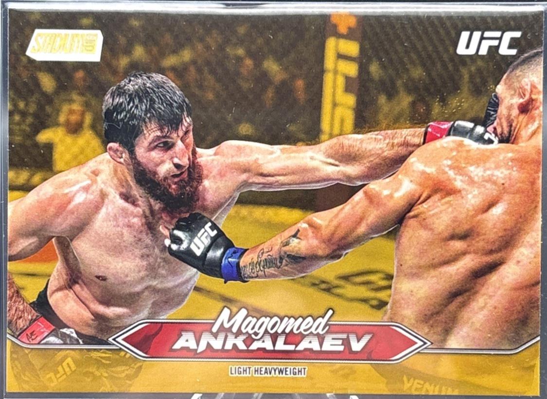 Magomed Ankalaev [Gold] #177
