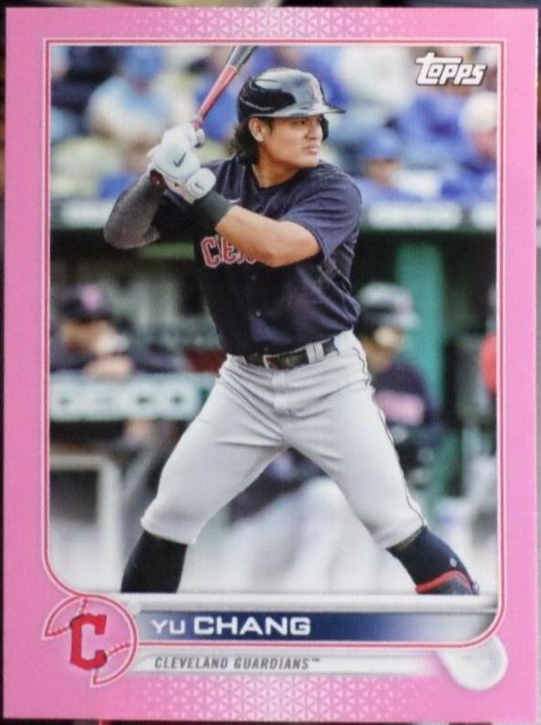 Yu Chang [Mini Pink] #US203